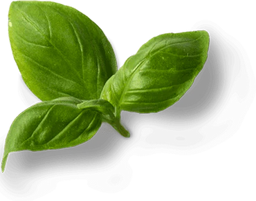 Pizza Topoľčany: Margharitta, Quattro Formaggi, Šunková, Vegetariana, Sedliacka, Al Pollo, Prosciutto, Mexicana, Tuniaková a Pizza štangle. Grilované kura, Zapekačky, Vyprážaný syr s hranolkami